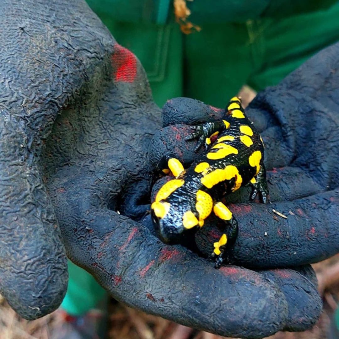 FOTO czwartek - zdjęcia tygodnia 